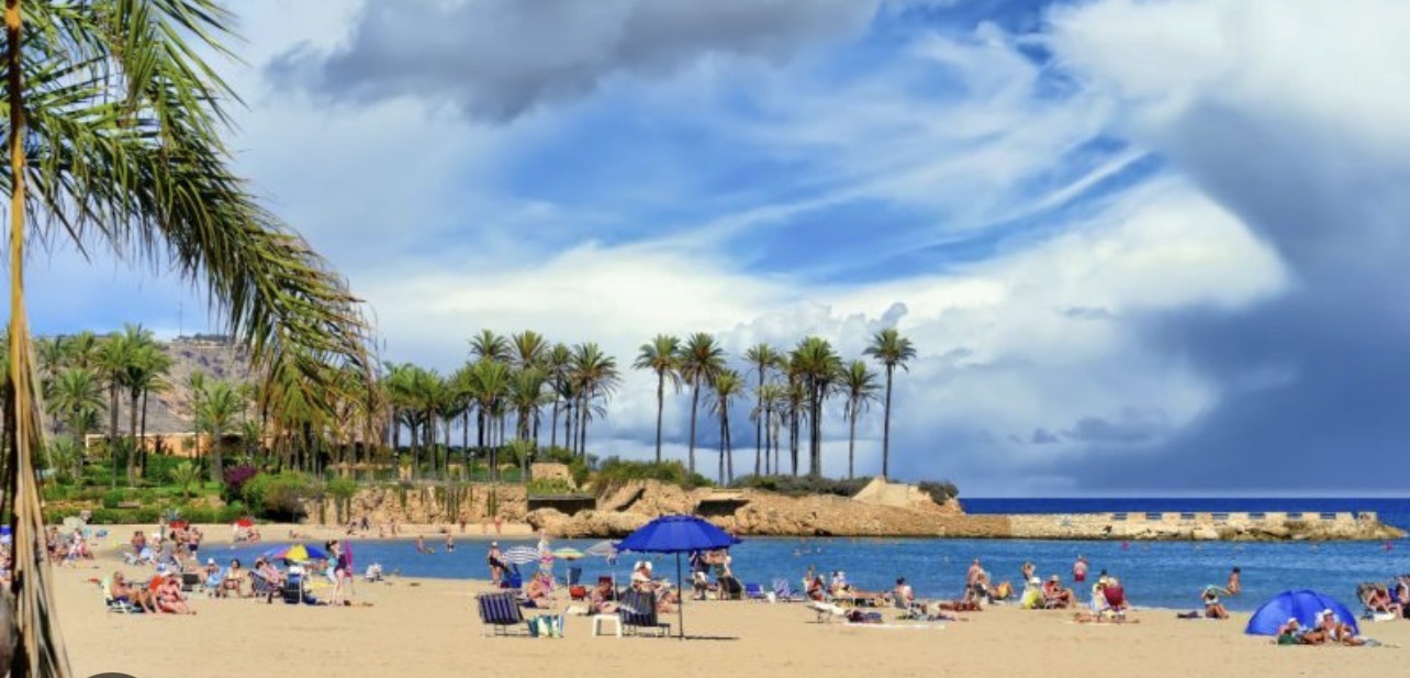 Palmbomen op het strand van Jávea