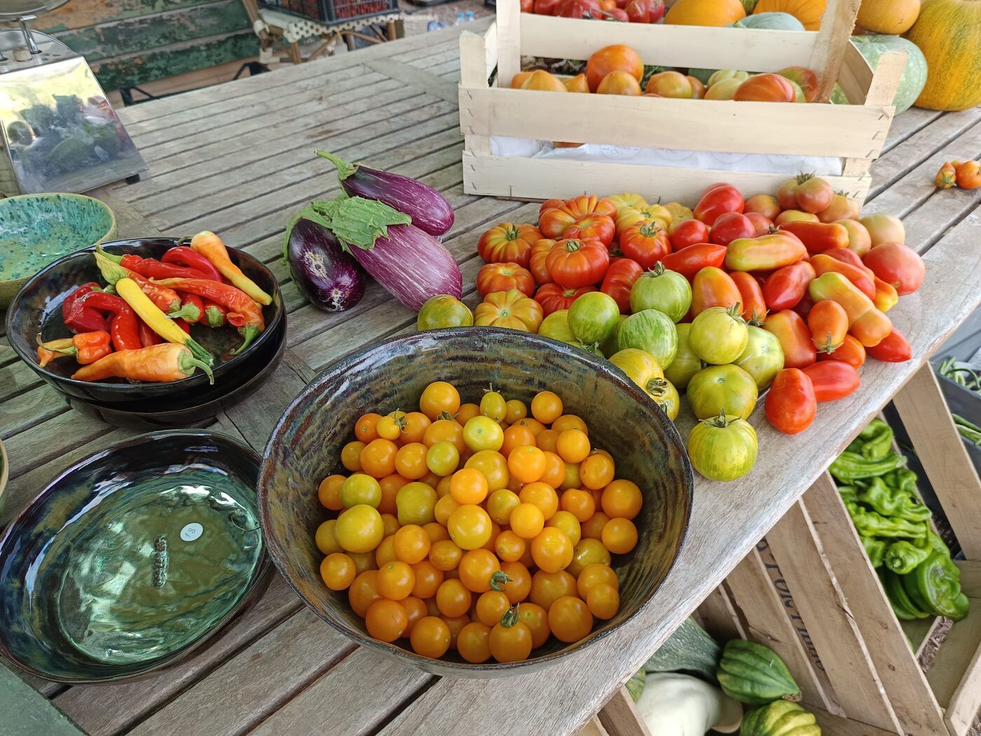 Gigi's Farm