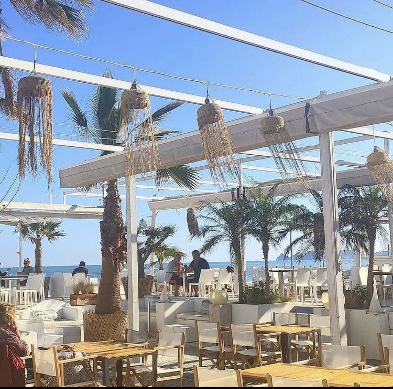 🌱 Moestuinieren aan de Costa Blanca, samen leren en inspireren