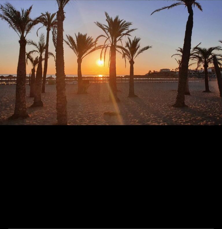 Zonsondergang tussen de palmbomen op het strand van Jávea