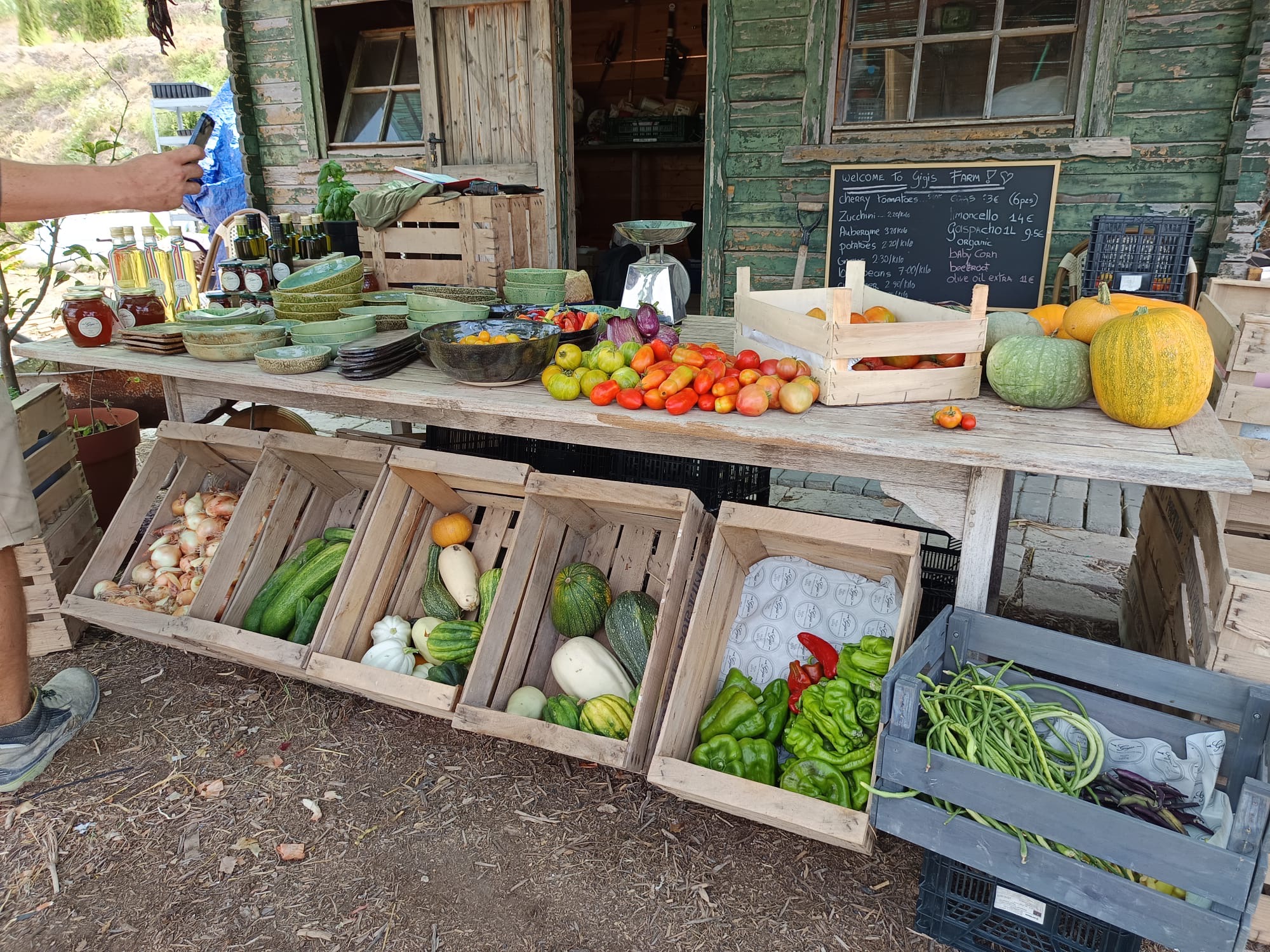 Nieuw in de regio: Help mee om Gigi's Farm te laten groeien!