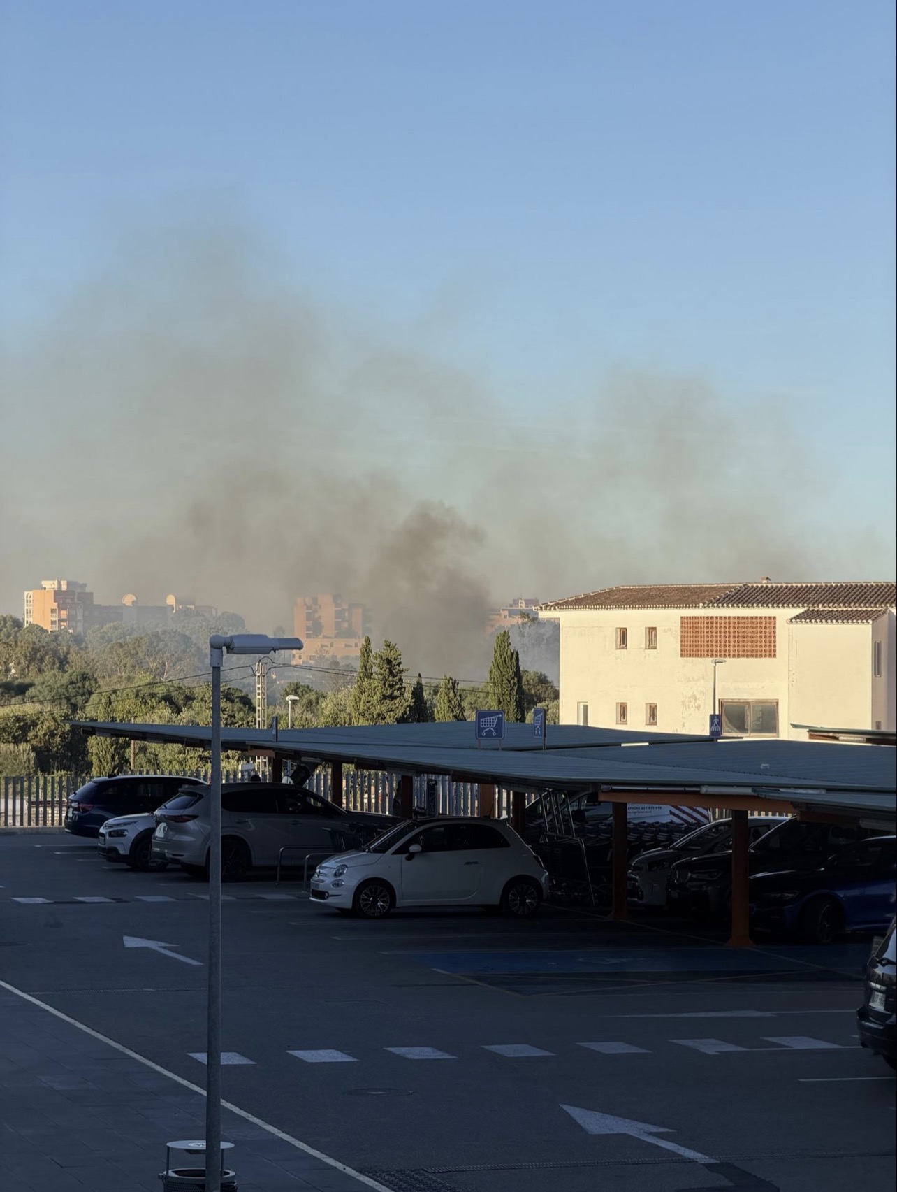 IMG_6834brand